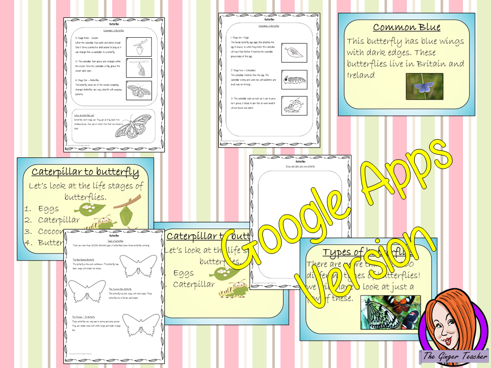 Distance Learning Butterflies Complete Google Slides Lesson This download teaches children about Butterflies. There is a detailed 23 slide presentation on the life cycle of butterflies, details about the transformation from caterpillar to butterfly, information about how they eat, a look at some of the different types of butterflies and a brief look at the parts of a butterfly. There are also differentiated, 4 page, Butterflies Google Slides worksheets to allow children to demonstrate their understanding.