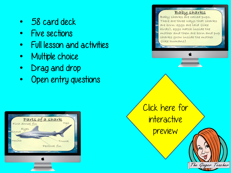 Sharks - Boom Cards Digital Lesson