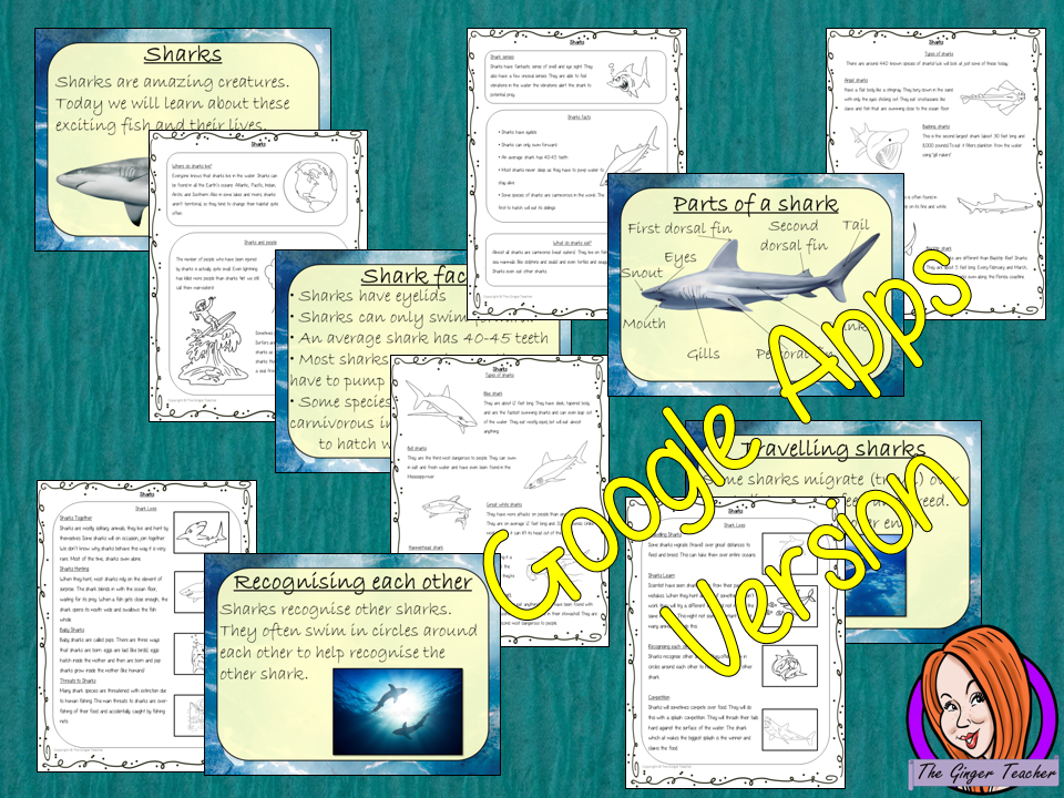 Distance Learning Sharks Google Slides Lesson Kids love sharks! This lesson teaches students about sharks. There is a fun, detailed 58 slide presentation on where sharks live, details and facts about the how they spend their time, information about how they hunt and eat, a look at the different types of sharks and a brief look at the parts of a shark. There are also differentiated, 8 page, sharks worksheets to allow children to demonstrate their understanding and assist their learning. Great for a shark pro