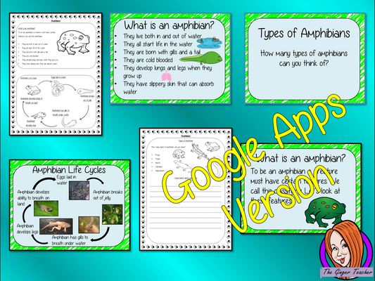 Distance Learning Amphibian Life Cycles Google Slides Lesson Part of my Life Cycles of Animals unit of work. Teach kids about the life cycles of amphibians. This resource is a complete lesson on Amphibian life cycles, teaching children about the life cycle, how their food changes as they grow, the different types of amphibians and the parts of an amphibian. This is the Google Slides version of this lesson!