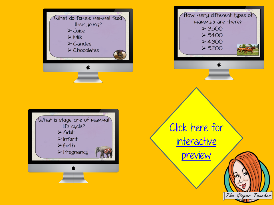 Mammal Life Cycle Revision Questions This deck revises children’s knowledge of Mammal Life Cycle. There are multiple choice revision questions to check children’s understanding. These question cards are self-grading and lots of fun!