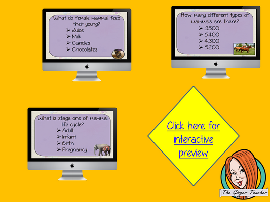 Mammal Life Cycle Revision Questions This deck revises children’s knowledge of Mammal Life Cycle. There are multiple choice revision questions to check children’s understanding. These question cards are self-grading and lots of fun!
