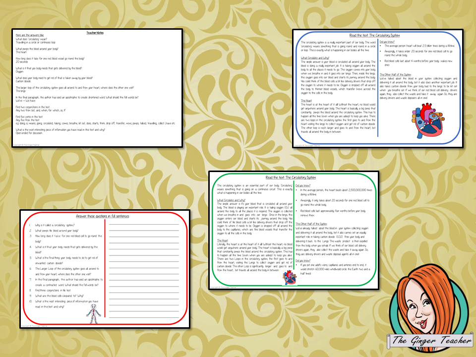 The Circulatory System Comprehension Cards Differentiated reading comprehension cards. Three levels of texts and questions to help children with reading comprehension. This text is on The Circulatory System and has questions to help children understand and draw meaning from the text.