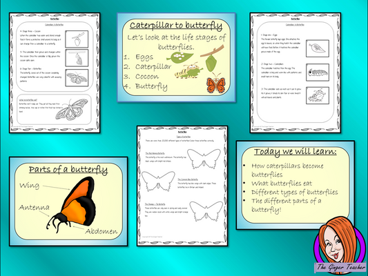Butterflies - PowerPoint and Worksheets