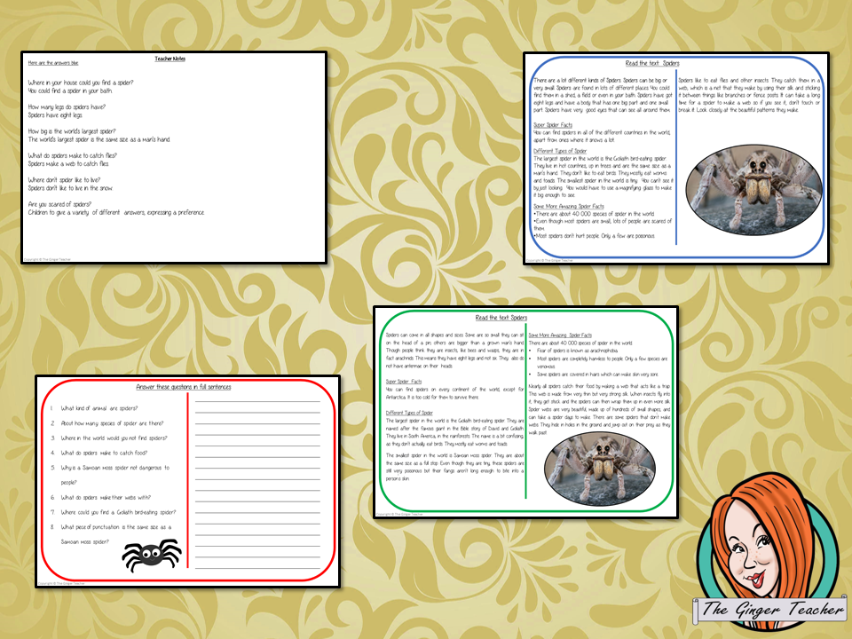 Spiders Reading Comprehension Cards  Differentiated reading comprehension cards. Three levels of texts and questions to help children with reading comprehension. This text is on the Spiders and has questions to help children understand and draw meaning from the text.