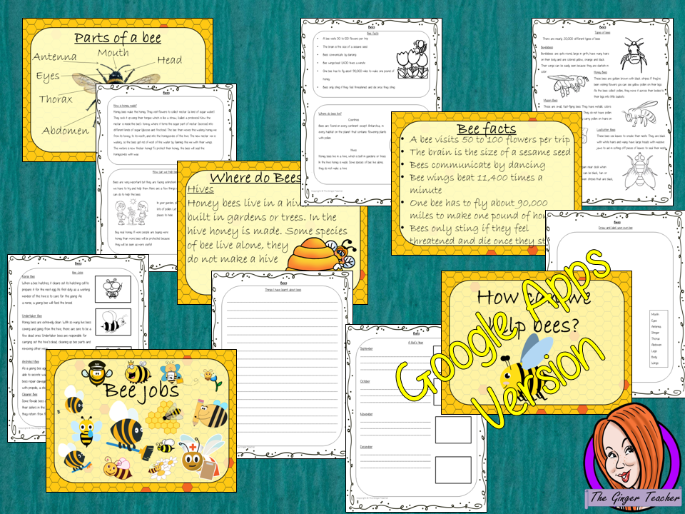 Distance Learning Bees Google Slides Lesson This pack teaches children about bees in one complete lesson. There is a detailed 57 Google Slide presentation on where bees live, fun bee facts, details about how they make honey, information about the different jobs they do, a look at the different types of bees and a brief look at the parts of a bee. There are also differentiated, 8 page, Google Slides, bees worksheets to allow students to demonstrate their understanding. This pack is great for teaching kids a