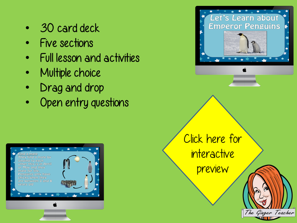 Penguins - Boom Cards Digital Lesson