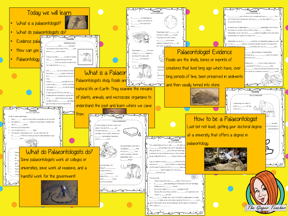 Dinosaur Palaeontology Lesson