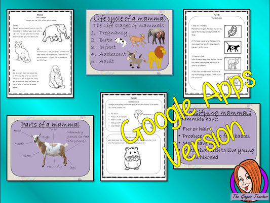Distance Learning Mammals Life Cycles Google Slides Lesson This is the Google Slides version of this lesson! This is a complete lesson on Mammal life cycles.