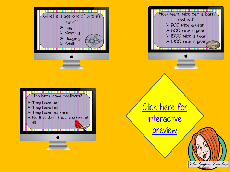Bird Life Cycle Revision Questions This deck revises children’s knowledge of Bird Life Cycle. There are multiple choice revision questions to check children’s understanding. These question cards are self-grading and lots of fun!