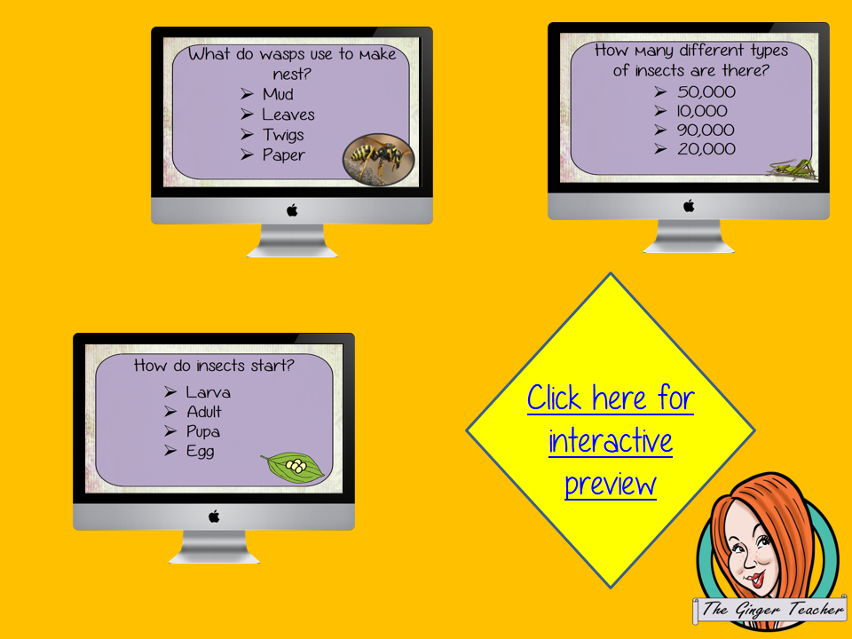 Insect Life Cycle Revision Questions This deck revises children’s knowledge of Insect Life Cycle. There are multiple choice revision questions to check children’s understanding. These question cards are self-grading and lots of fun!