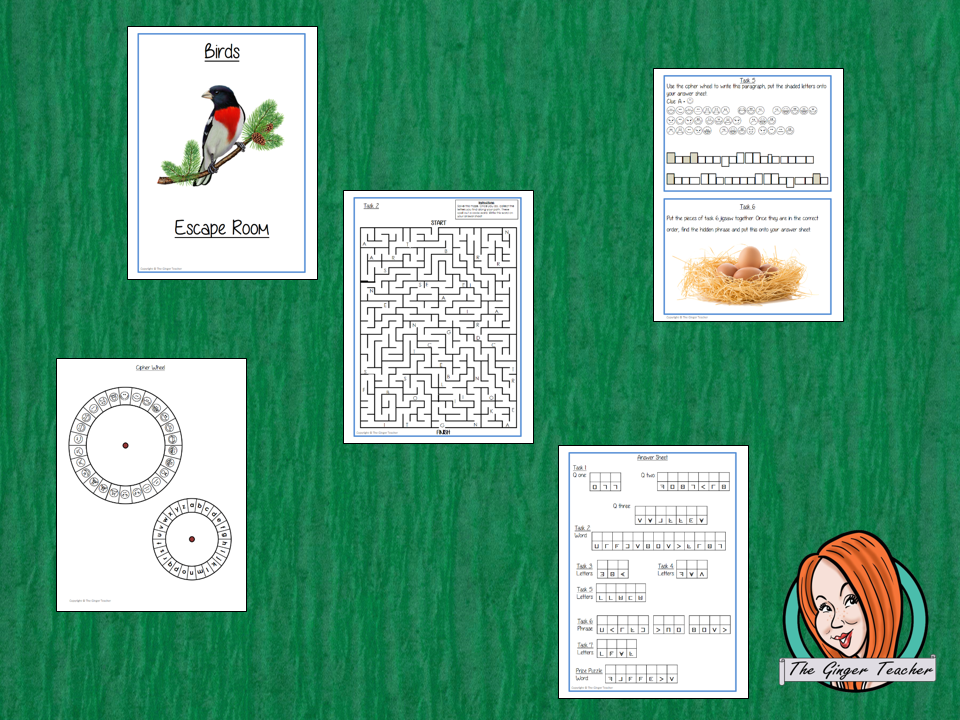 Birds Escape Room Game Try this escape room style game with your students today! This is a fun game that is perfect for teaching children about Birds. This game focuses on students finding out facts and information and using these to solve puzzles. This helps them to learn. This activity is great for the beginning of a topic to introduce information or at the end to recap. Students are trying to help an alien understand Bees and they must solve a series of clues, as well as decode different ciph