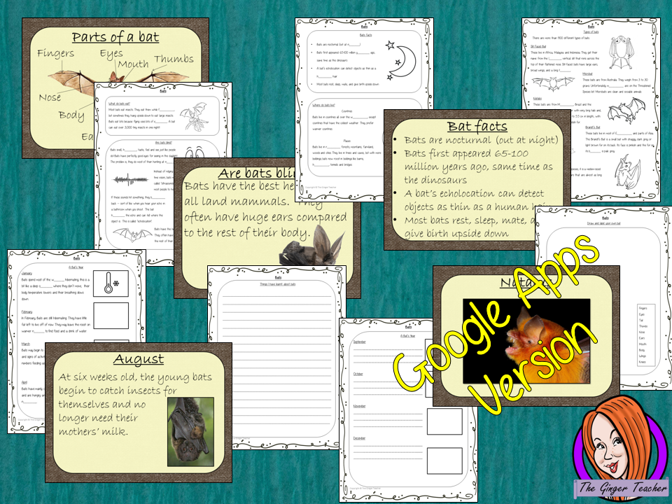 Distance Learning Bats Google Slides Lesson This download teaches children about bats in one complete lesson. There is a detailed 56 slide presentation on where bats live, cute bat facts, details about how they spend their year, information about how they eat, a look at the different types of bats and a brief look at the parts of a bat. There are also differentiated, 8 page, Google slides, bats worksheets to allow students to demonstrate their understanding. This pack is great for teaching kids all about b