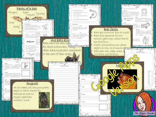 Distance Learning Bats Google Slides Lesson This download teaches children about bats in one complete lesson. There is a detailed 56 slide presentation on where bats live, cute bat facts, details about how they spend their year, information about how they eat, a look at the different types of bats and a brief look at the parts of a bat. There are also differentiated, 8 page, Google slides, bats worksheets to allow students to demonstrate their understanding. This pack is great for teaching kids all about b