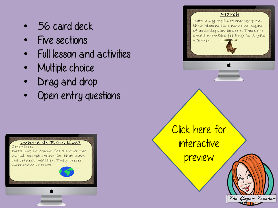 Bats - Boom Cards Digital Lesson