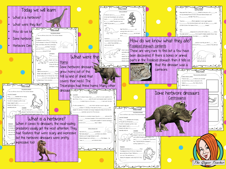 Herbivore Dinosaurs Lesson