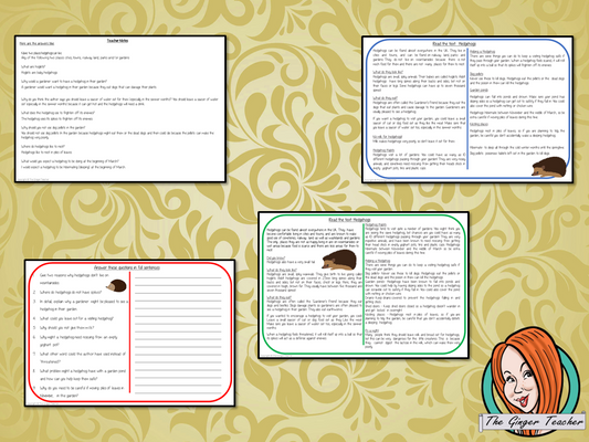 Hedgehog Reading Comprehension Cards Differentiated reading comprehension cards. Three levels of texts and questions to help children with reading comprehension. This text is on the Hedgehog and has questions to help children understand and draw meaning from the text.