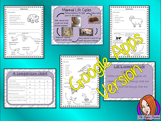 Distance Learning Comparing Life Cycles - Complete Science Lesson This is a complete lesson on teaching the comparison of animal life cycles. This lesson uses a 23 slide presentation to teach children about comparing animals and mammals. The lesson activities teach the class by completing information sheets to consolidate knowledge for kids to complete with lesson information and ideas. This is the Google Slides version of this lesson!