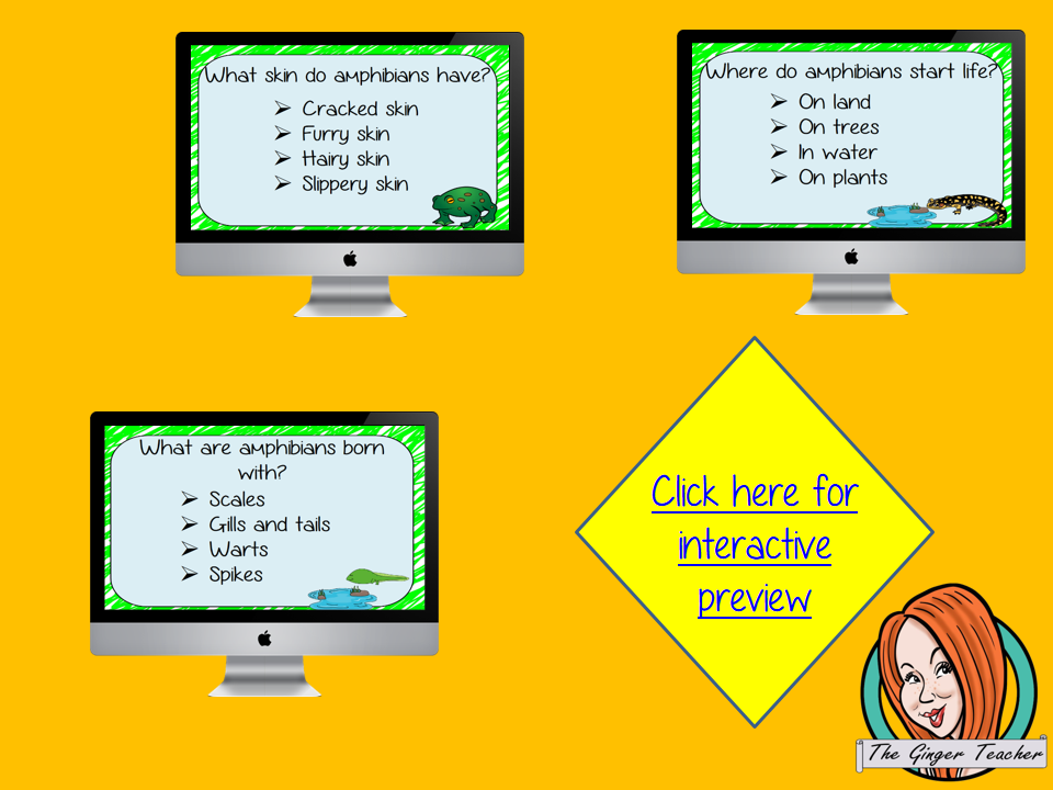 Amphibian Life Cycle Revision Questions This deck revises children’s knowledge of Amphibian Life Cycle. There are multiple choice revision questions to check children’s understanding. These question cards are self-grading and lots of fun!