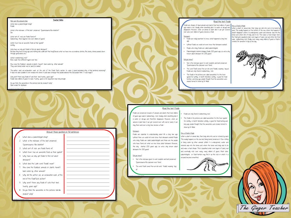 Fossils Reading Comprehension Cards Differentiated reading comprehension cards. Three levels of texts and questions to help children with reading comprehension. This text is on Fossils  and has questions to help children understand and draw meaning from the text.