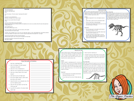 Fossils Reading Comprehension Cards Differentiated reading comprehension cards. Three levels of texts and questions to help children with reading comprehension. This text is on Fossils and has questions to help children understand and draw meaning from the text.