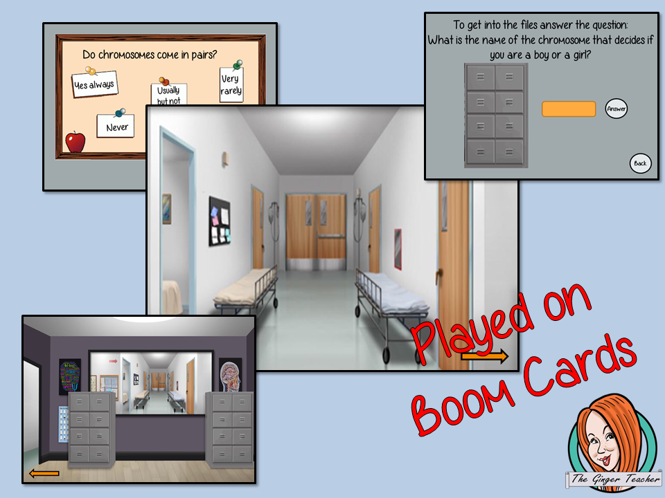 Chromosomes Science Escape Room Boom Cards