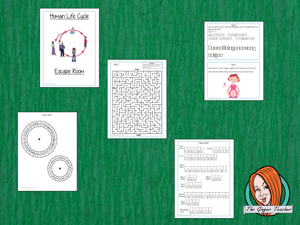 Human Life Cycle Escape Room Game Try this escape room style game with your students today! This is a fun game that is perfect for teaching children about Human Life Cycle. This game focuses on students finding out facts and information and using these to solve puzzles. This helps them to learn. This activity is great for the beginning of a topic to introduce information or at the end to recap. Students are trying to help an alien understand Human Life Cycle and they must solve a series of clues