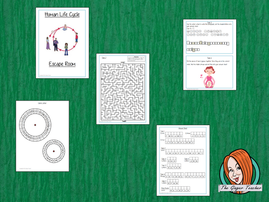 Human Life Cycle Escape Room Game Try this escape room style game with your students today! This is a fun game that is perfect for teaching children about Human Life Cycle. This game focuses on students finding out facts and information and using these to solve puzzles. This helps them to learn. This activity is great for the beginning of a topic to introduce information or at the end to recap. Students are trying to help an alien understand Human Life Cycle and they must solve a series of clues