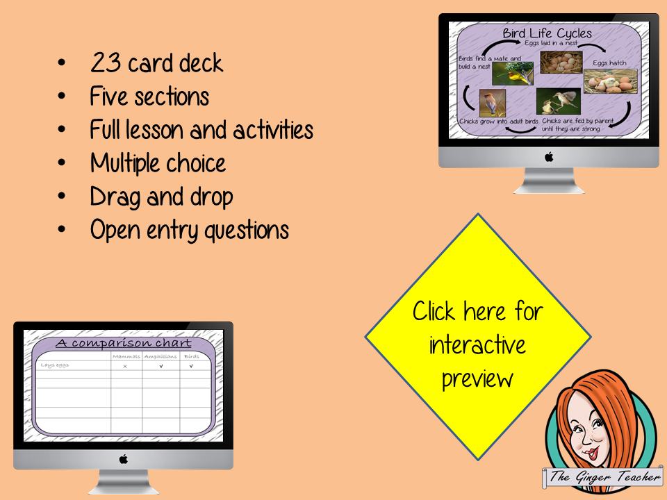 Comparing Life Cycles - Boom Cards Digital Lesson