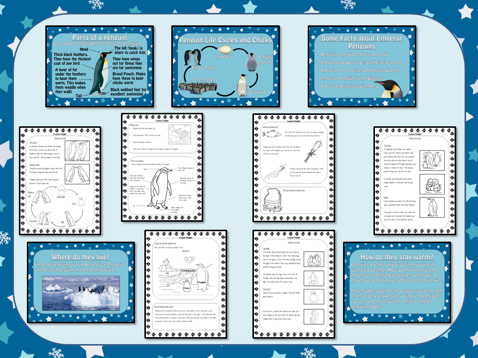 emperor-penguin-information-report