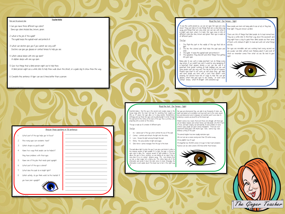 Sense of Sight Reading Comprehension Cards Differentiated reading comprehension cards. Three levels of texts and questions to help children with reading comprehension. This text is on the Three Little Pigs and has questions to help children understand and draw meaning from the text.