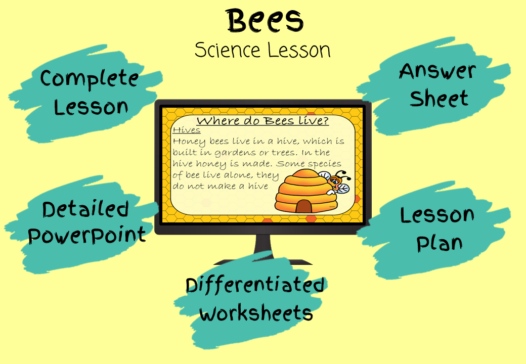 bees-and-pollination