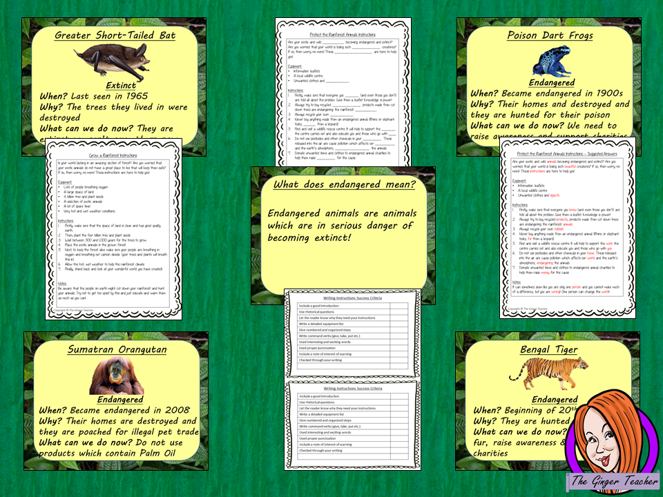 Endangered and Extinct Animals Lesson