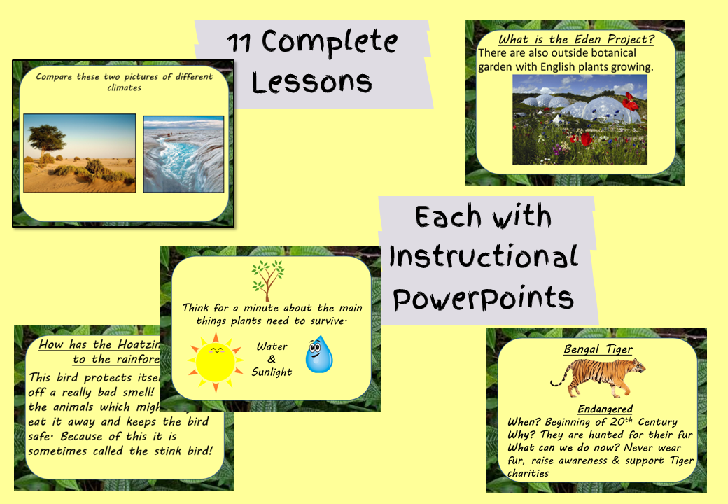 tropical-rainforest-lesson-plan