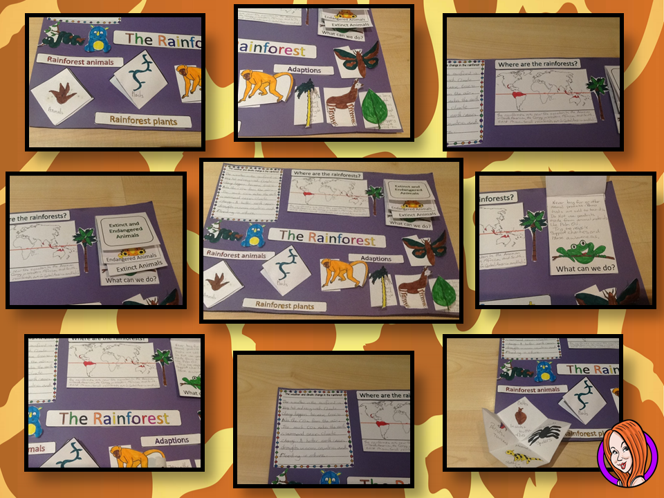 tropical-rainforest-animals-lesson