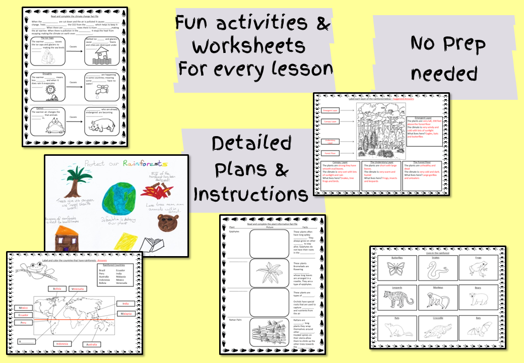 tropical-rainforest-science-lesson-plan