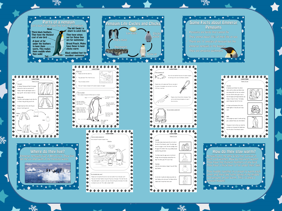 Penguins Lesson