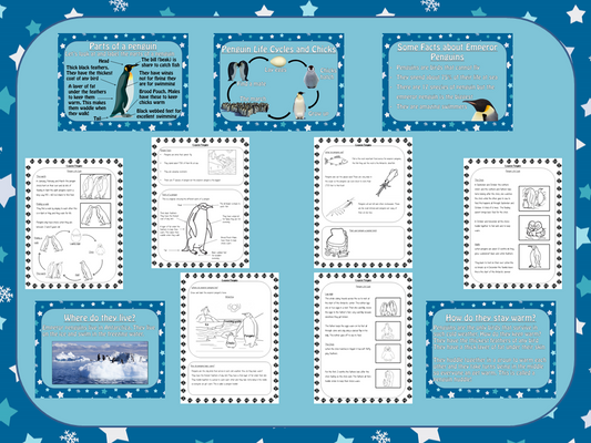 Penguins Lesson