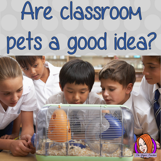 Classroom pets are a great way to teach children about responsibility and animal life. #classroompets #pets #classroom #pshe #science #animals