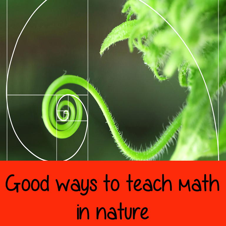 Math In Nature