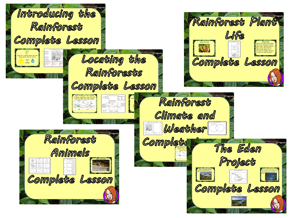 Rainforest Lessons and Plans