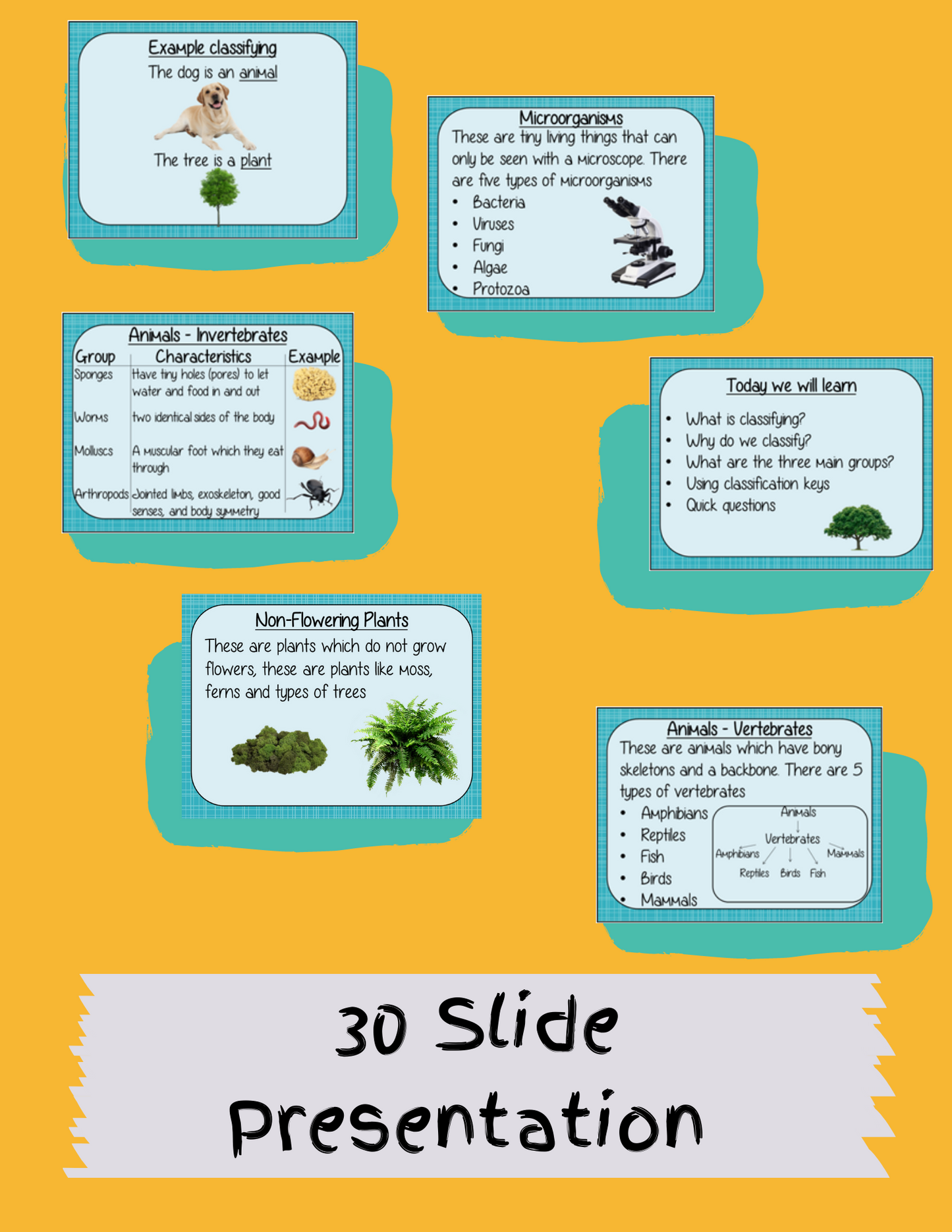 Classifying Living Things DIGITAL Lesson in Google Slides™