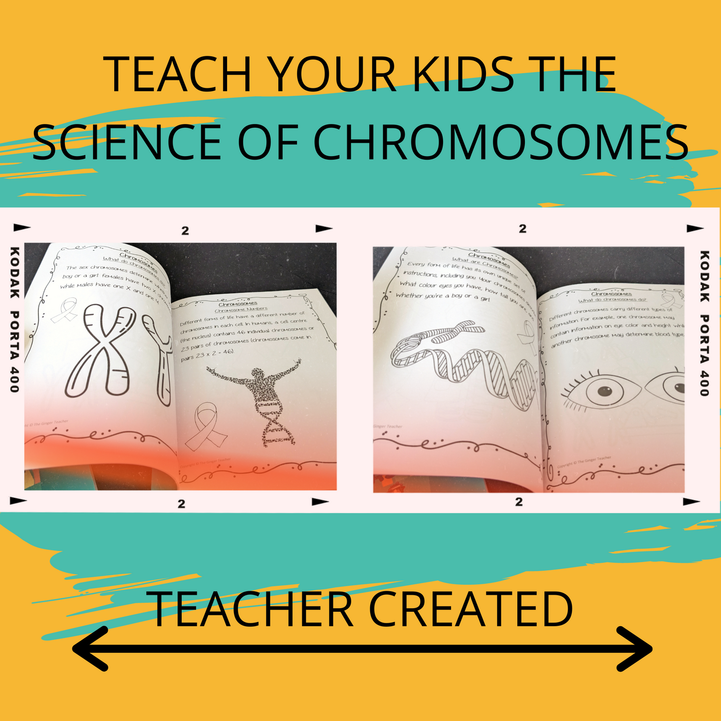 Science is Fun – Learn and Colour: Biology - Chromosomes