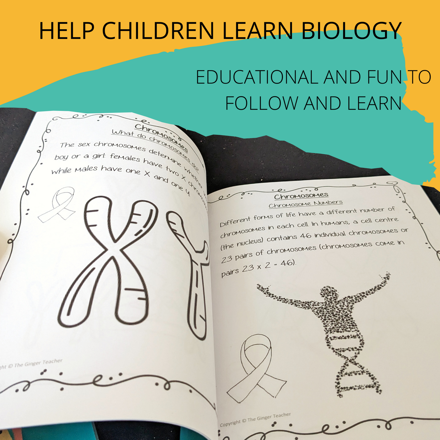 Science is Fun – Learn and Colour: Biology - Chromosomes