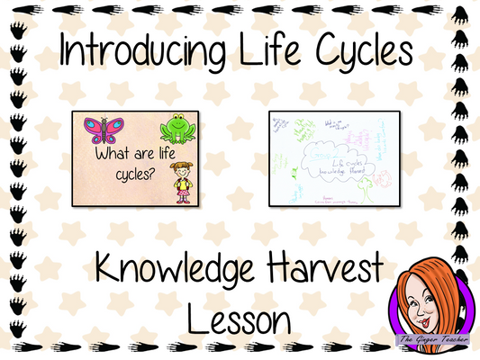 Life Cycles   -  Knowledge Harvest Lesson
