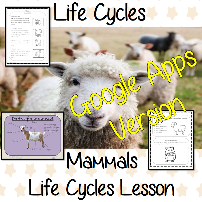 Distance Learning Mammals Life Cycles Google Slides Lesson This is the Google Slides version of this lesson! This is a complete lesson on Mammal life cycles.  