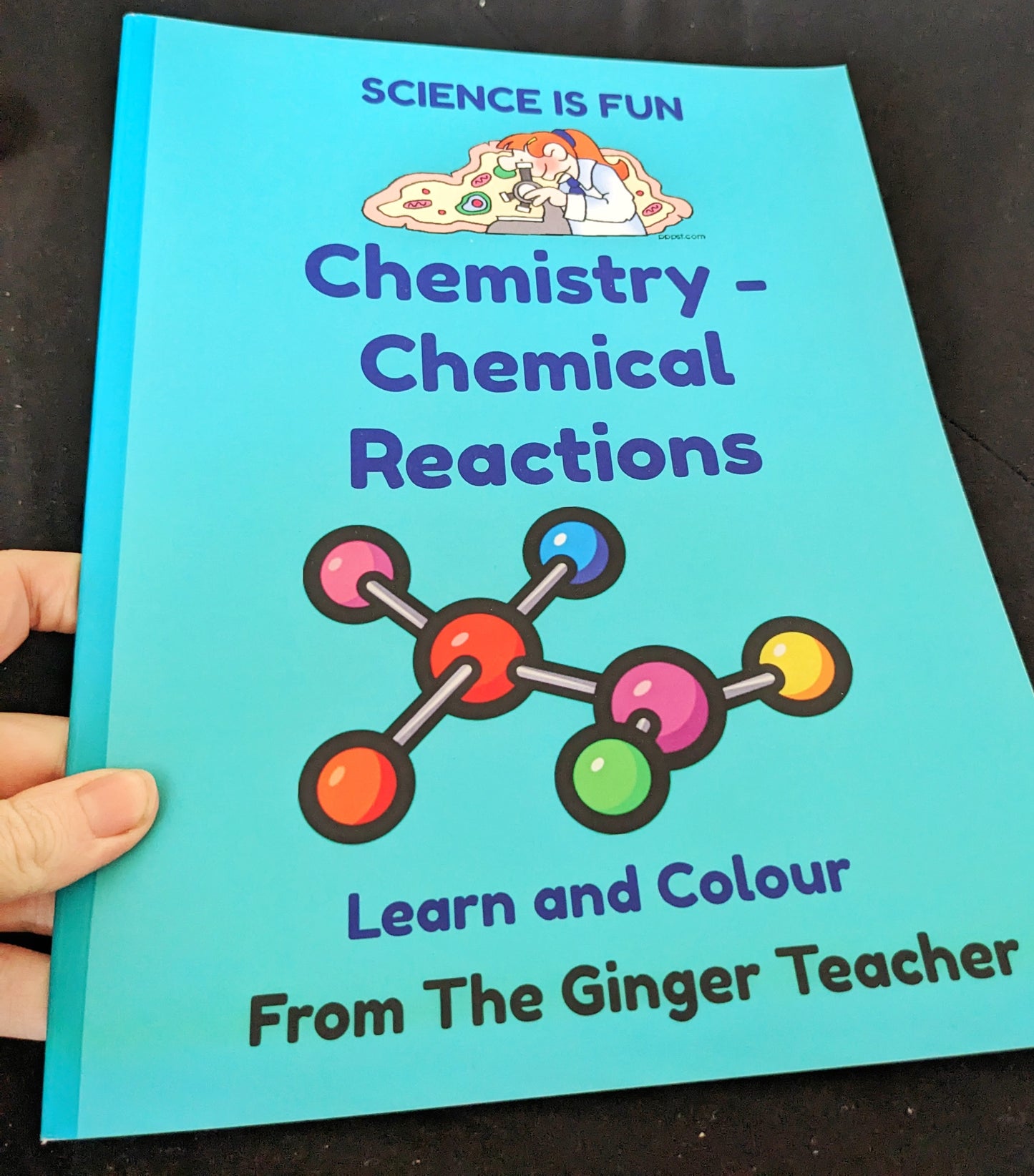 Chemical Reactions Science Workbook