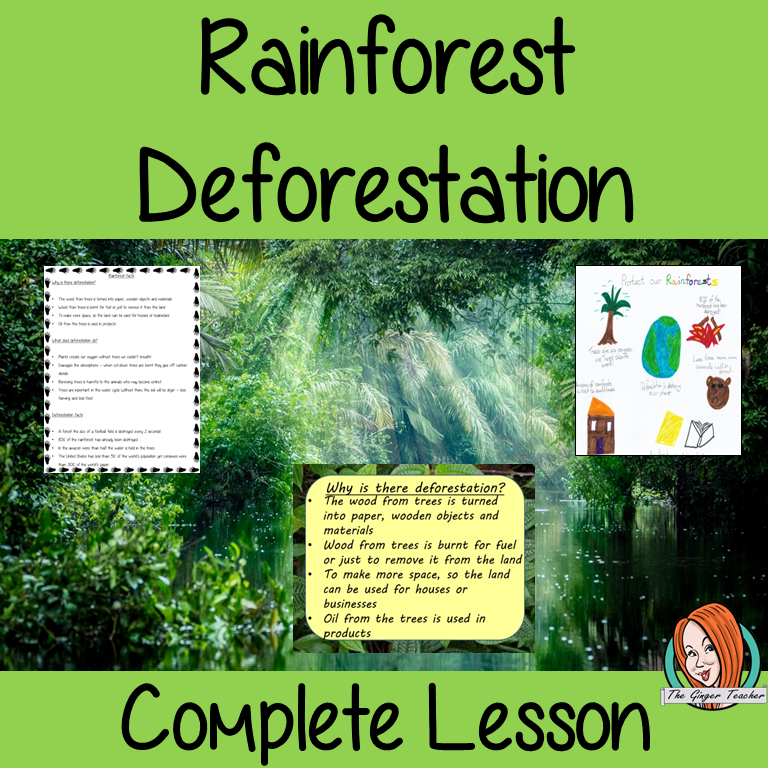 Rainforest Deforestation Complete Lesson on the effects of Deforestation of the Rain forest. Rainforest lesson for kids. There is a detailed PowerPoint to explain deforestation and effects on the rainforest animals and plants. Lots of facts about the rainforests of the world. The children complete a poster to inform and raise awareness about deforestation. Learn about the rainforest destruction rainforest activities for grade #rainforest #rainforestdeforestation #rainforestforkids