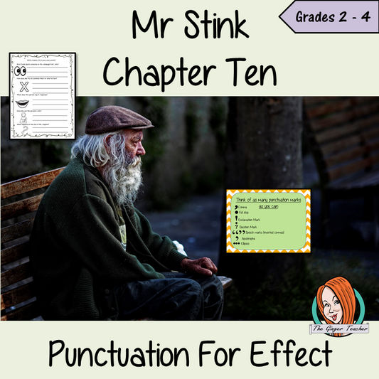 Mr Stink Punctuation for Effect Lesson