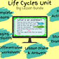 animal-life-cycles-activities
